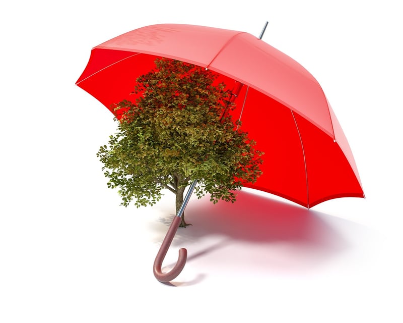 Eco-Friendly Solutions