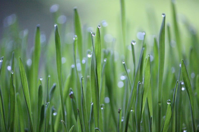 Organic Farming
